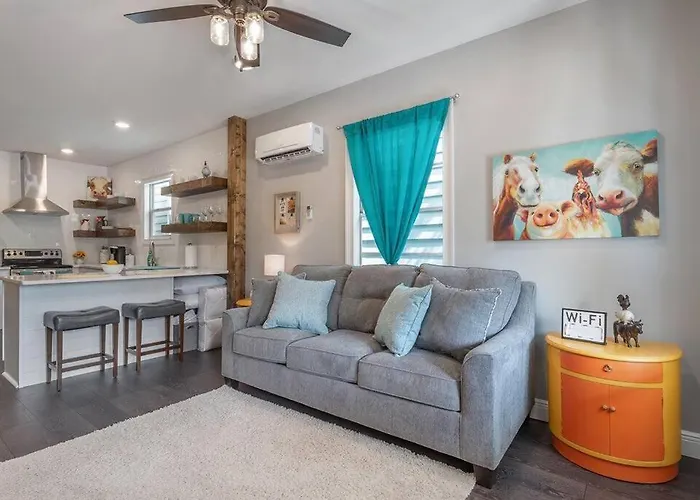 Franks Farmhouse Shotgun Style Apt In Ybor City
